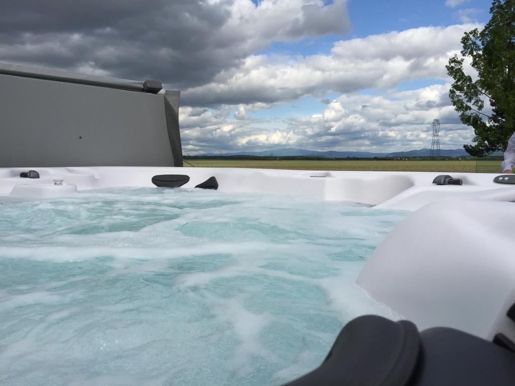 L'Atelier 4 Stars Luxury, Hot Tub, Pool Villa Nambsheim Ruang foto